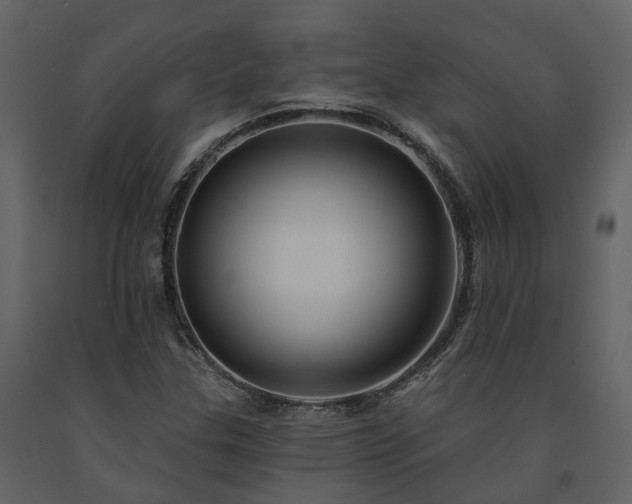 X0000091731307200708241403