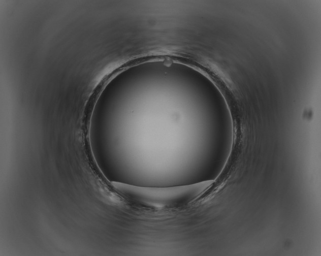 X0000091731308200708241403