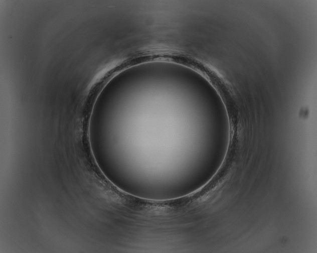 X0000091731309200708241403