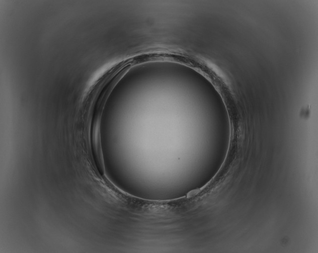 X0000091731310200708241403