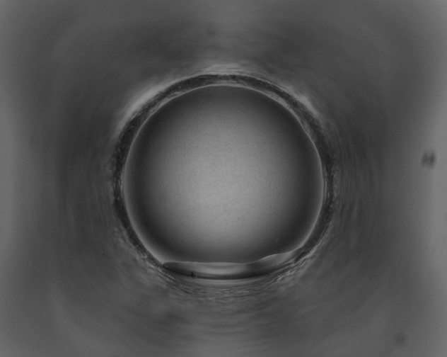 X0000091731311200708241403