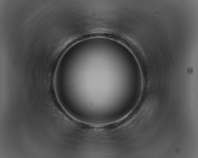 X0000091731313200708241403