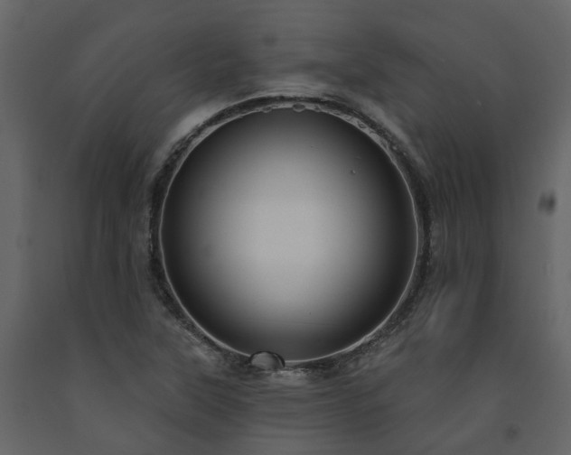 X0000091731315200708241403