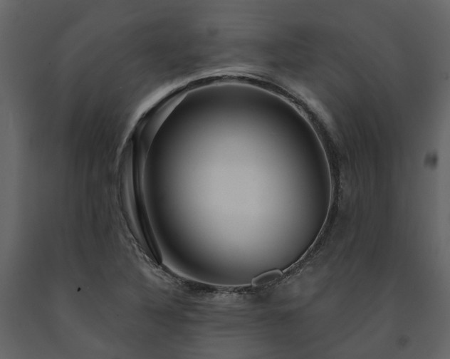 X0000091731316200708241403