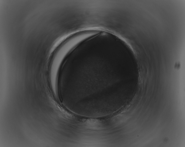 X0000091731319200708241403