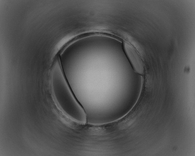 X0000091731320200708241403