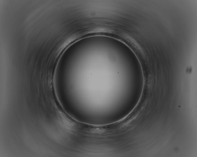 X0000091731321200708241403