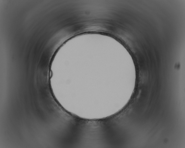 X0000091731322200708241403