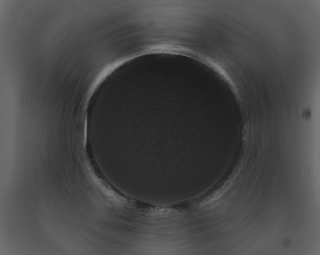 X0000091731323200708241403