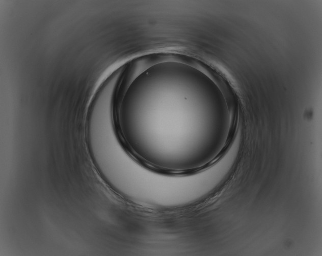 X0000091731324200708241403