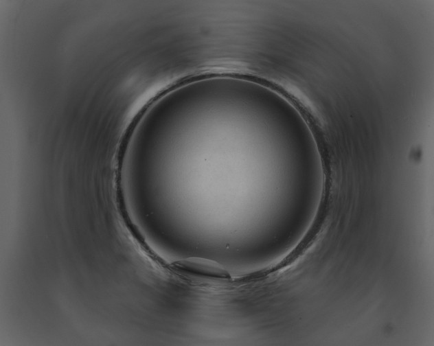 X0000091731325200708241403