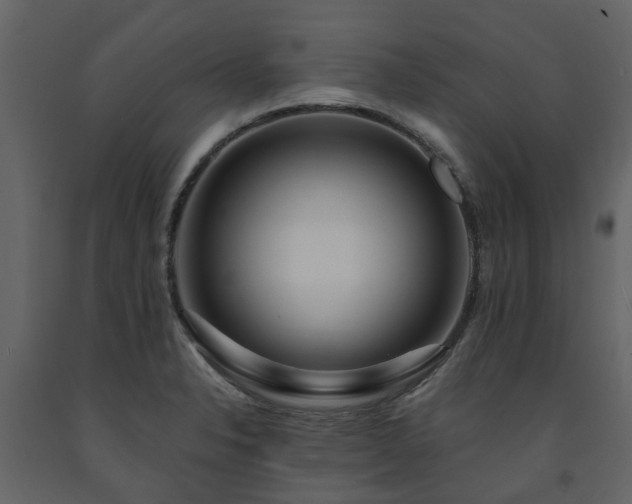 X0000091731326200708241403