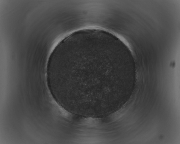 X0000091731327200708241403