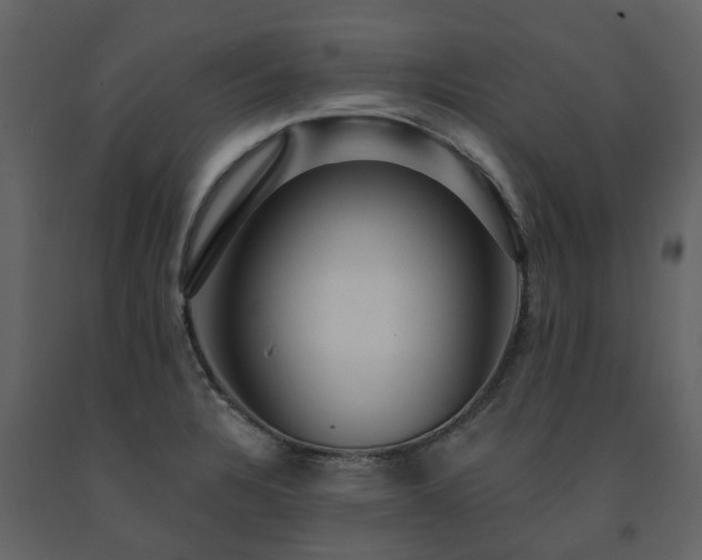 X0000091731328200708241403