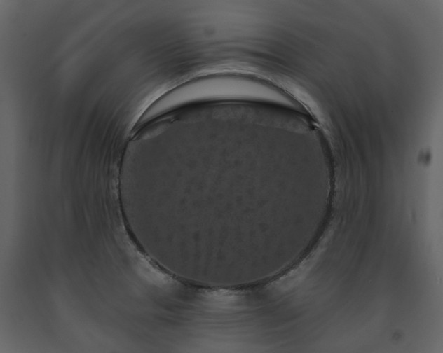 X0000091731329200708241403