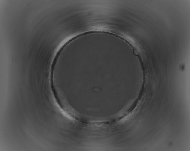 X0000091731331200708241403