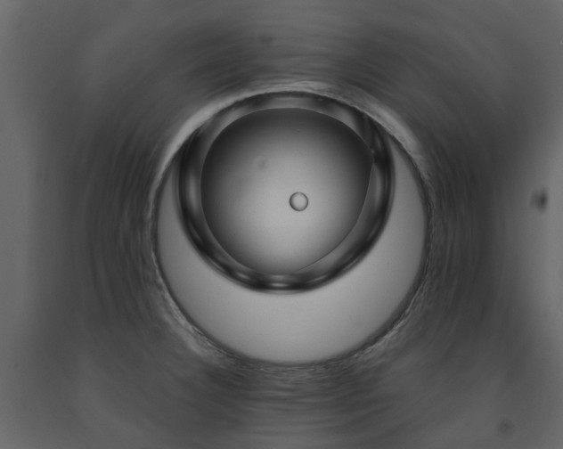 X0000091731332200708241403