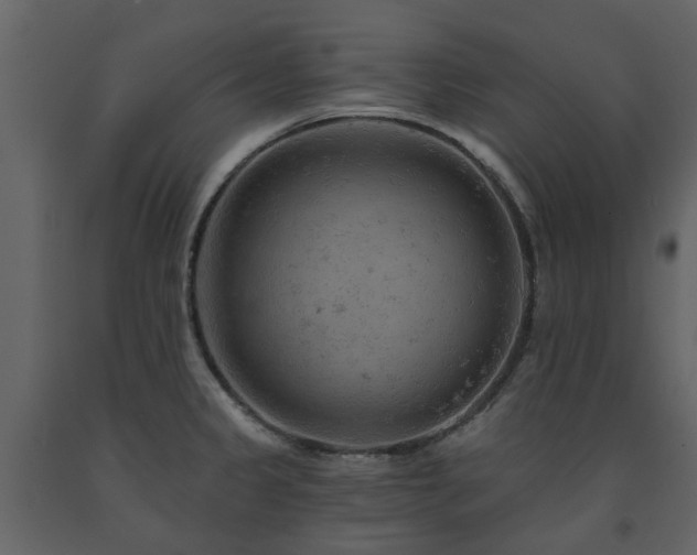 X0000091731333200708241404