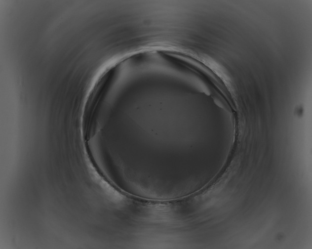 X0000091731334200708241404