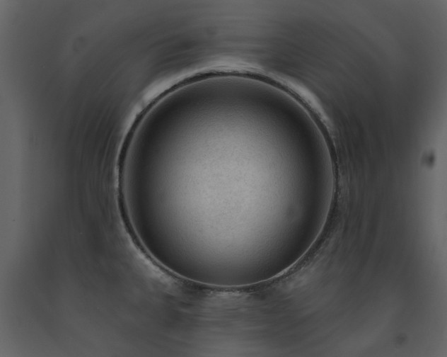 X0000091731335200708241404