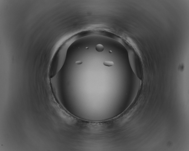 X0000091731336200708241404