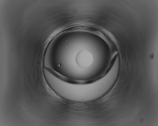 X0000091731338200708241404