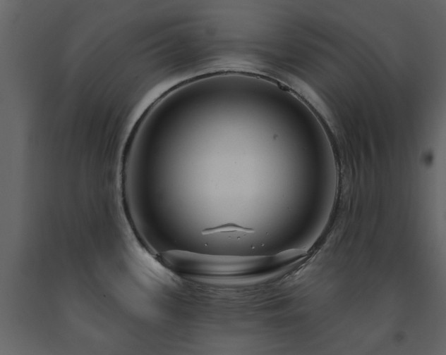 X0000091731339200708241404