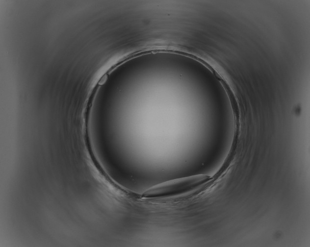 X0000091731341200708241404