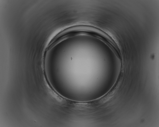 X0000091731342200708241404