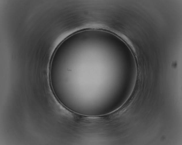 X0000091731343200708241404