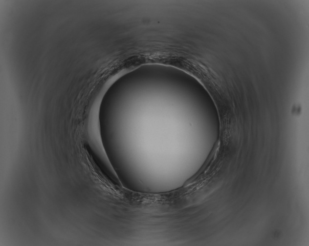 X0000091731345200708241403