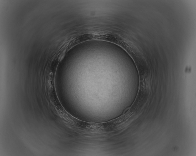 X0000091731346200708241403