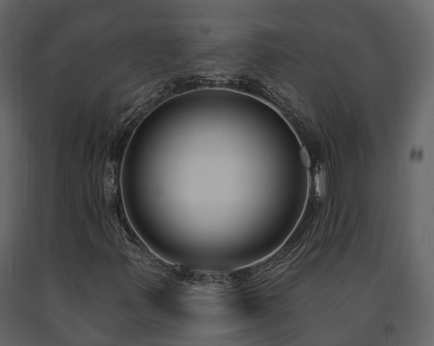 X0000091731347200708241403