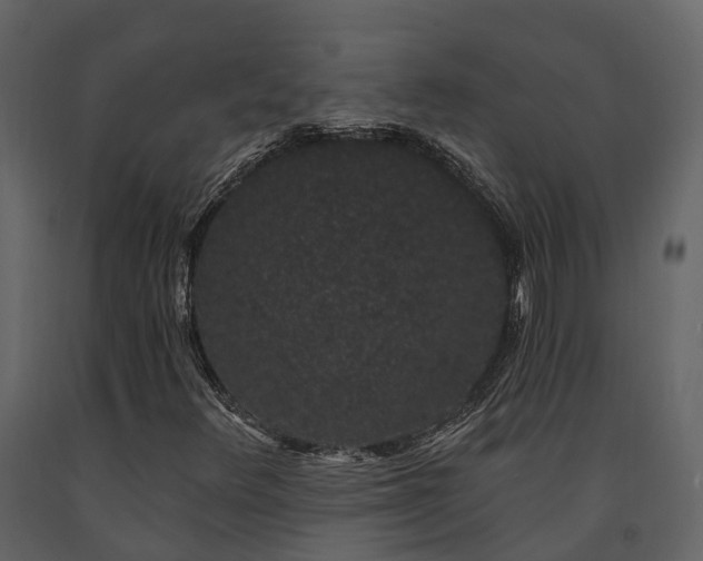 X0000091731348200708241403