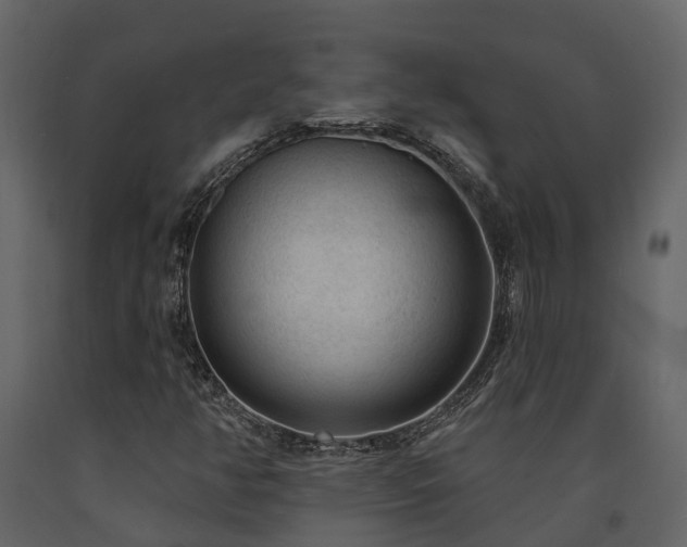 X0000091731350200708241403