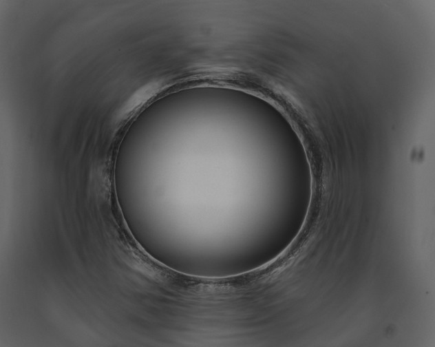 X0000091731354200708241403