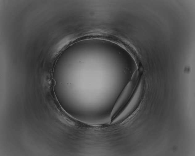 X0000091731355200708241403
