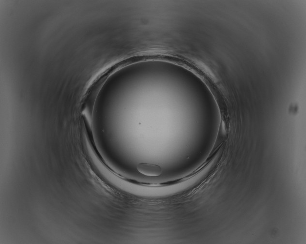 X0000091731356200708241403