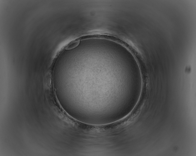 X0000091731358200708241403