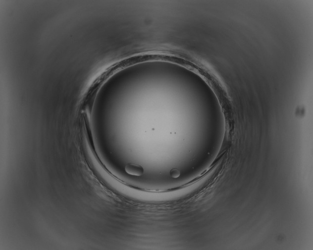 X0000091731360200708241403