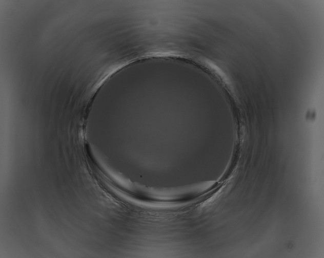 X0000091731361200708241403