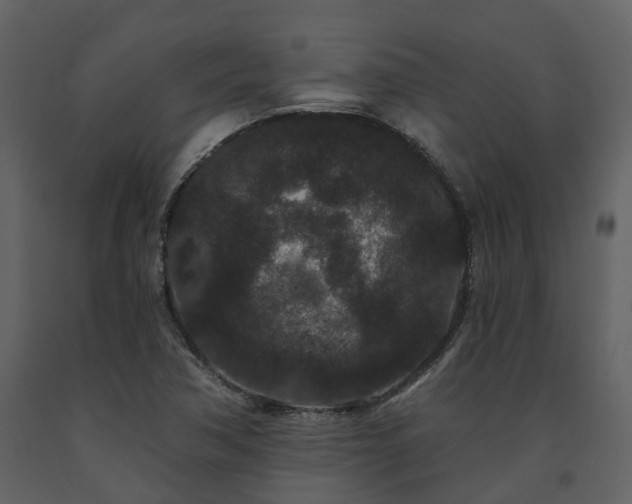 X0000091731362200708241403