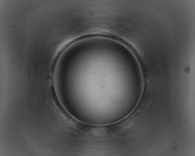 X0000091731363200708241403