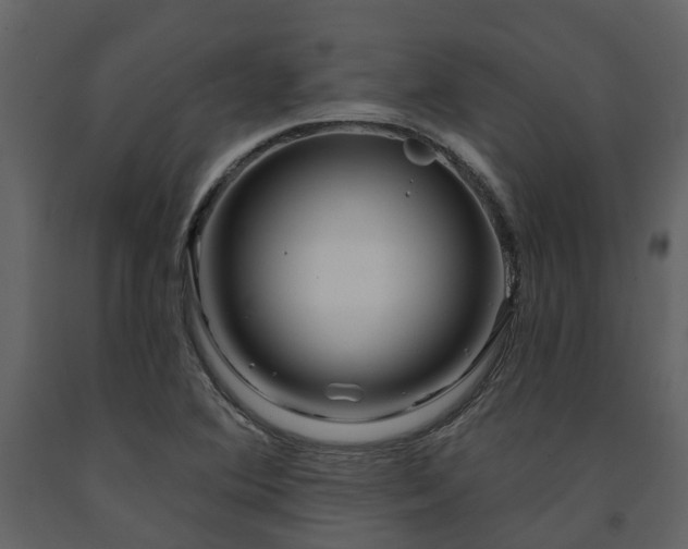 X0000091731364200708241403