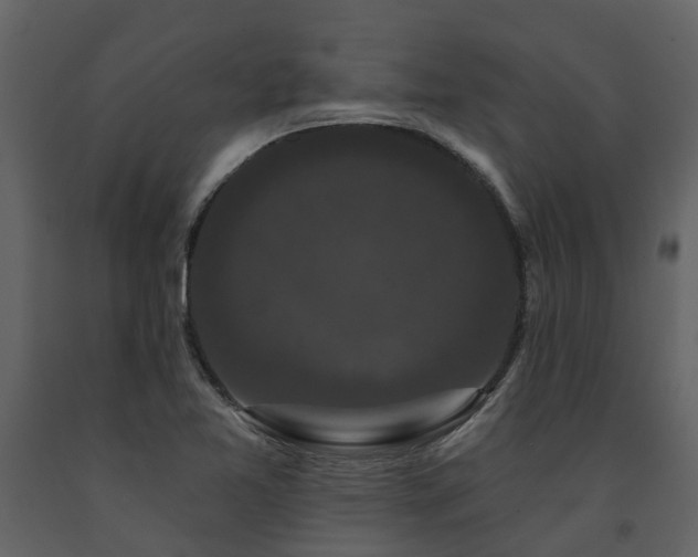 X0000091731365200708241403
