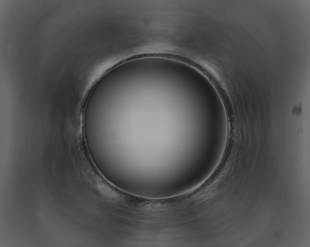 X0000091731366200708241403