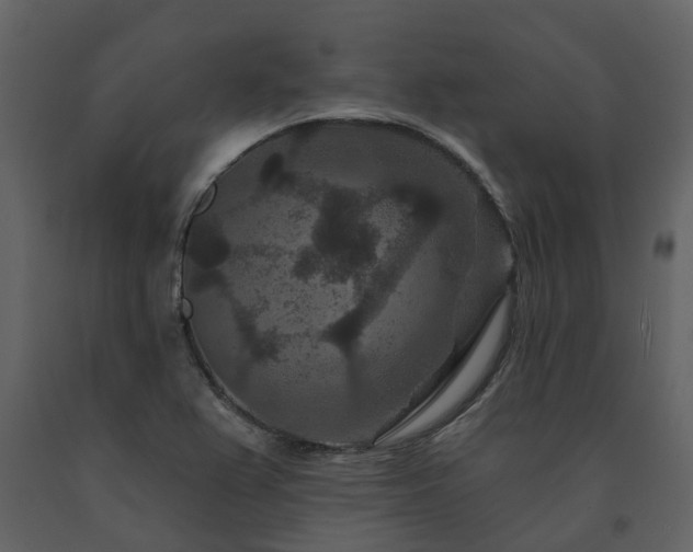 X0000091731367200708241403