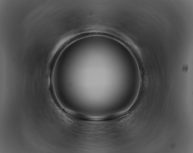 X0000091731368200708241403