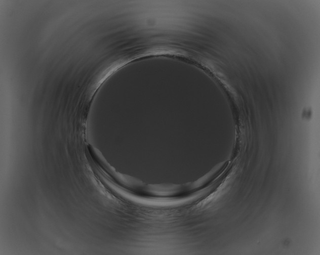 X0000091731369200708241403