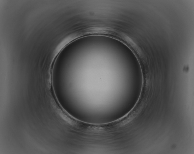 X0000091731370200708241403
